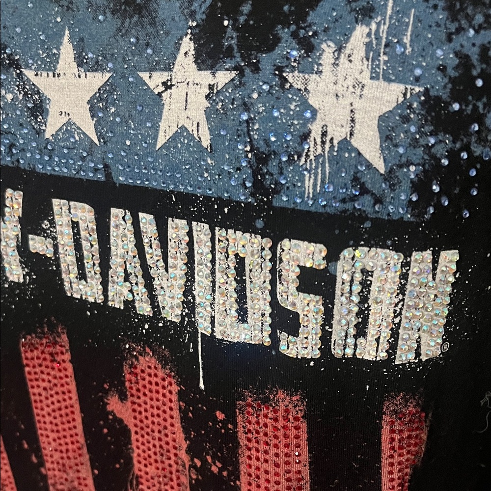 Harley-Davidson Black and Blue Star Tank - Picture 7 of 13
